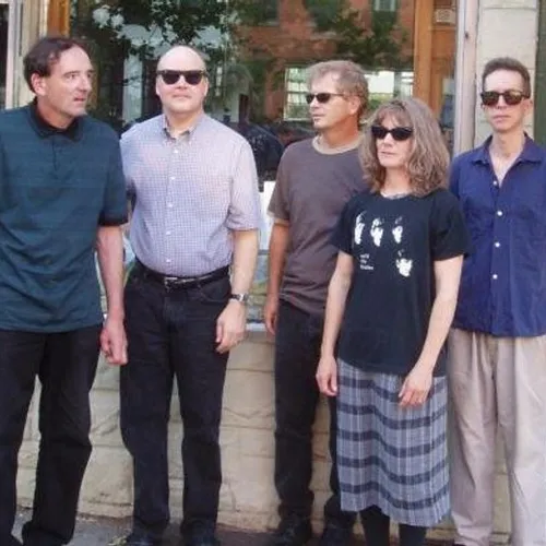 The Feelies