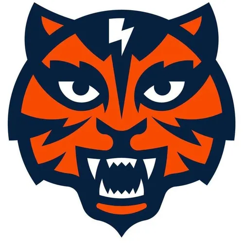 Tiger Uppercut