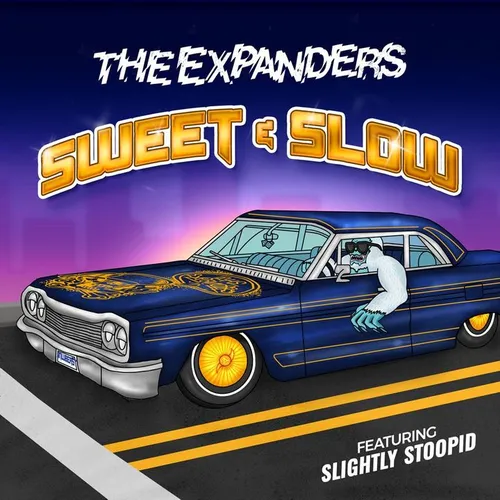 The Expanders